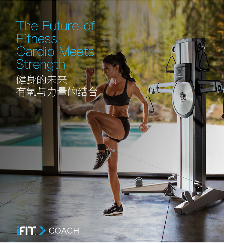 美國(guó)ICON愛(ài)康19916多功能力量綜合訓(xùn)練器械家用繩動(dòng)大型健身器材